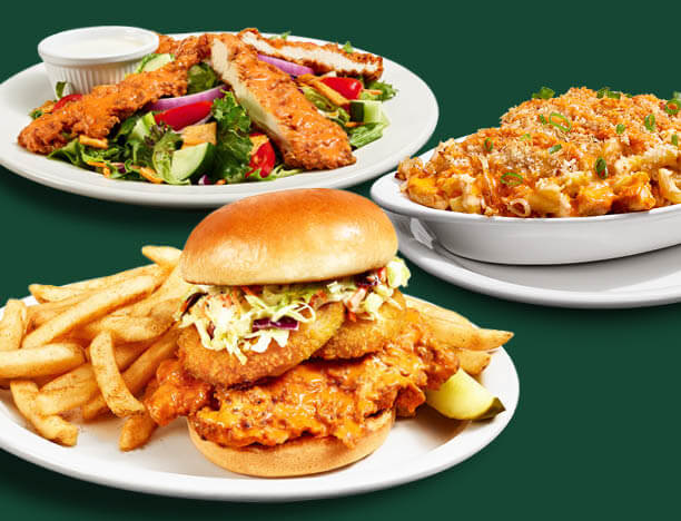 Metro Diner Buffalo Chicken Sandwich, Oven Bake, and Salad